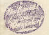 S_01.jpg (93809 Byte)